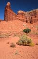 capitol reef np - chimney rock - utah - usa 021